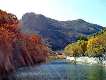 管家婆黑白马报图库，校花当道